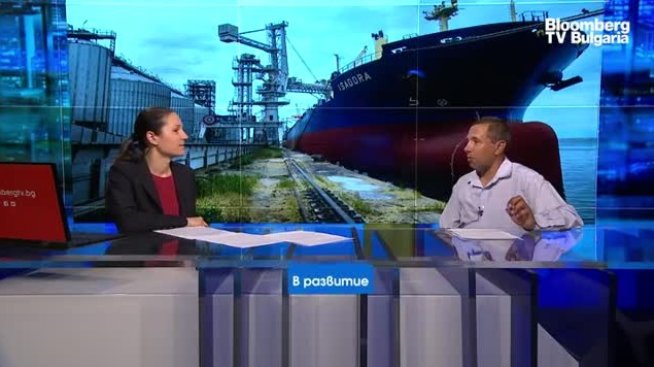 Експерт прогнозира рекордна реколта на пшеницата тази година