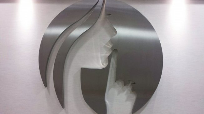 Вълкът в овча кожа