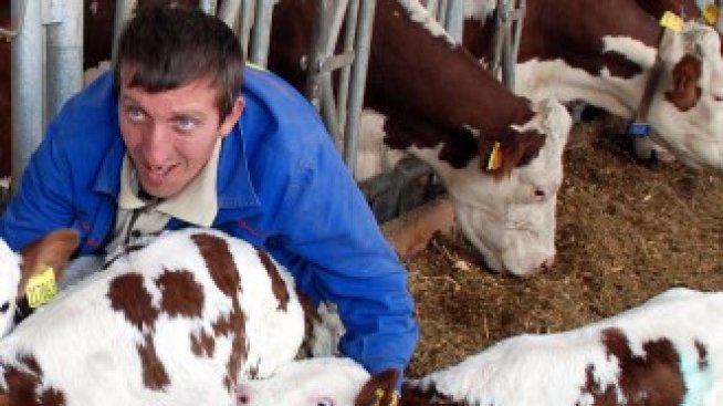 Субсидиите за животновъдите започват да се плащат от понеделник