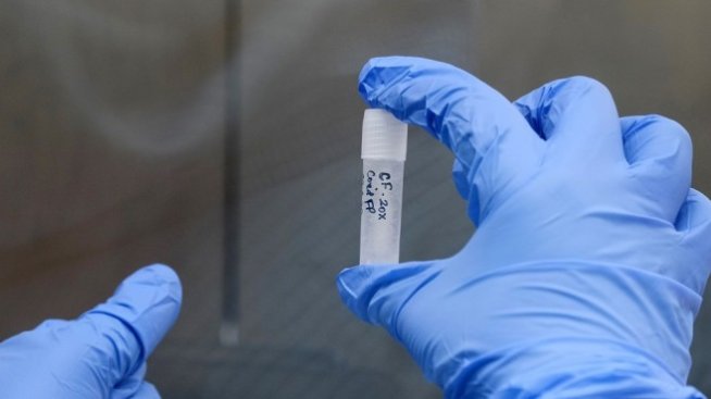 Гърция удължава срока за представяне на отрицателен PCR тест на границата