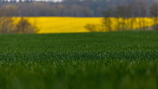 Дъщерно дружество на „БГ Агро“ е приключило сделката за земеделската „Нордленд“