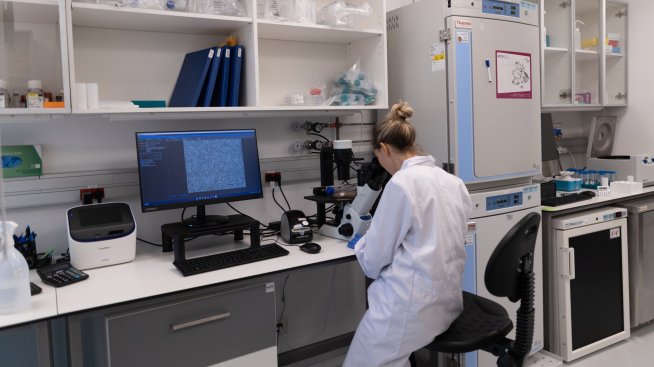 Науката става все по-малко революционна