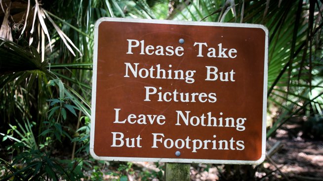 uIMPACT, която помага на стартъпите да стават зелени и социални 