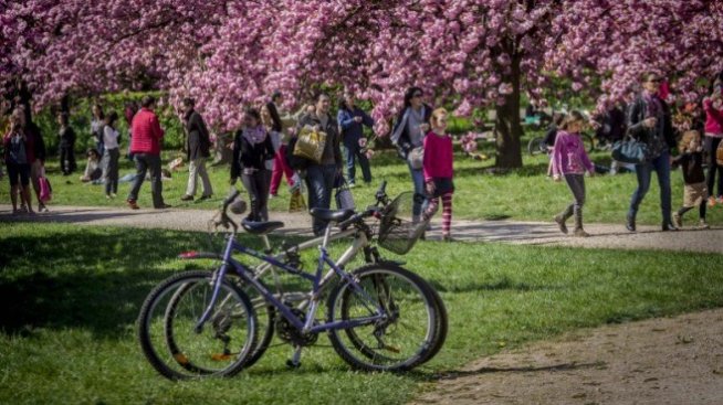 Около една трета от българите в чужбина искат да се върнат у нас, според експерт