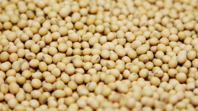 Южна Америка подкрепи финансовите резултати на Monsanto