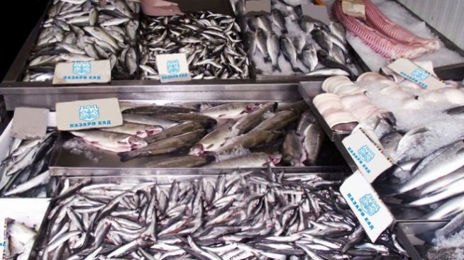 Задава се добър улов на риба през есента