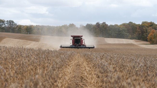 Кои са най-големите печеливши и губещи на суровинния пазар тази година?