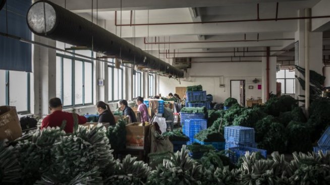 Световното предлагане на труд ли определя лихвите?