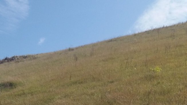 „Елана Агрокредит“ изпраща 2019 г. с 10% спад на кредитите за сделки за земи