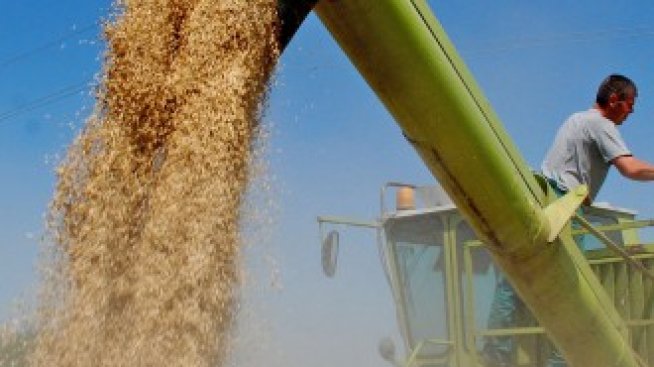 Набират се кандидати за складиране на интервенционно зърно