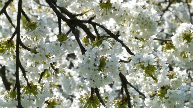 Компенсират фермерите с 3,5 млн. лева за природни бедствия