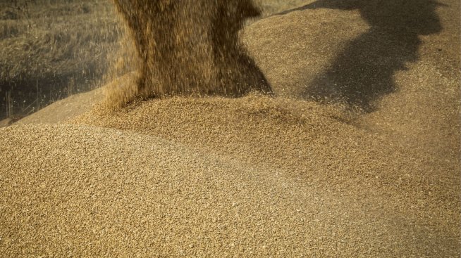 КЗК разреши на "Агрия Груп Холдинг" да придобие търговеца на зърно "Комерс"