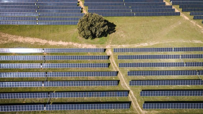 Германия е лидер в Европа по инсталиран капацитет на соларна енергия през 2022 г.