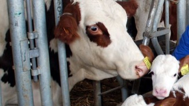 Очаква се Брюксел да одобри последната промяна в агропрограмата до края на юни