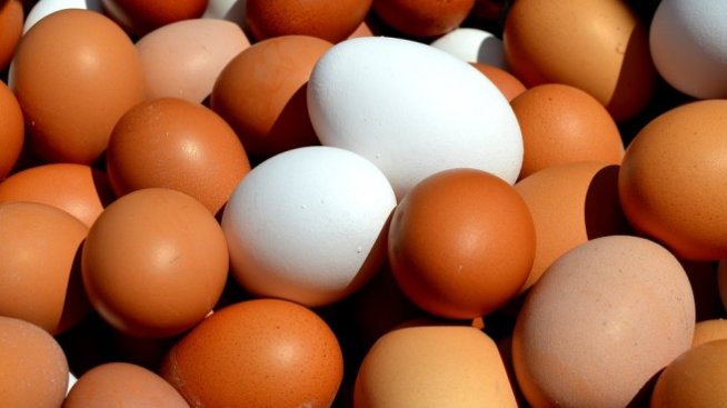 България получи предупреждение за трета пратка яйчен прах с фипронил