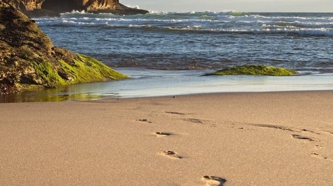 Варна обявява търг за отдаване под наем на 24 плажа