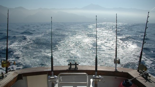 ЕС предвижда значителни щети за риболовните компании при Brexit без сделка