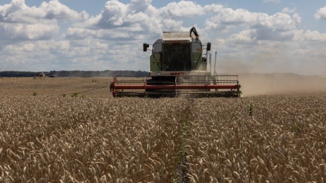 Споразумението за износа на зърно е налице, но преобладава недоверието