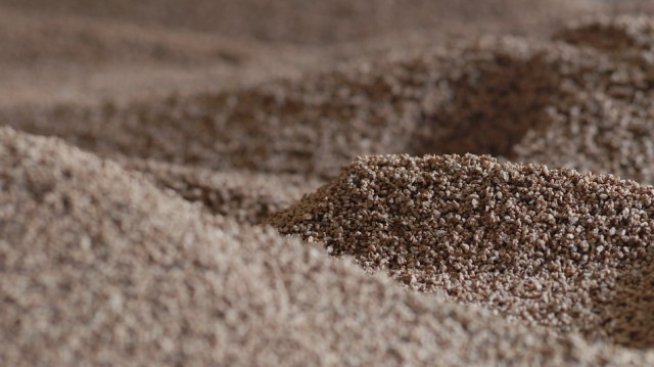 Агенцията по горите работи по проект за използване на горската биомаса