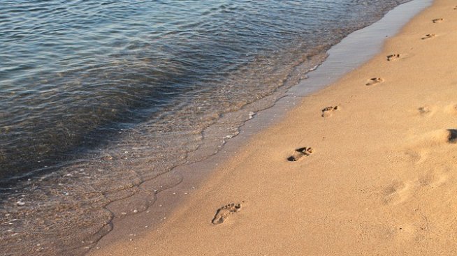 Mобилни екипи ще следят за чистотата на плажовете и морската вода
