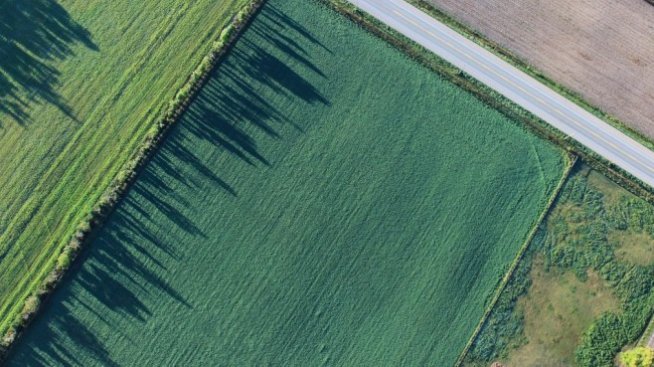 Изтича срокът за заявления за ползване на земеделски земи за стопанската 2020-2021 г.  