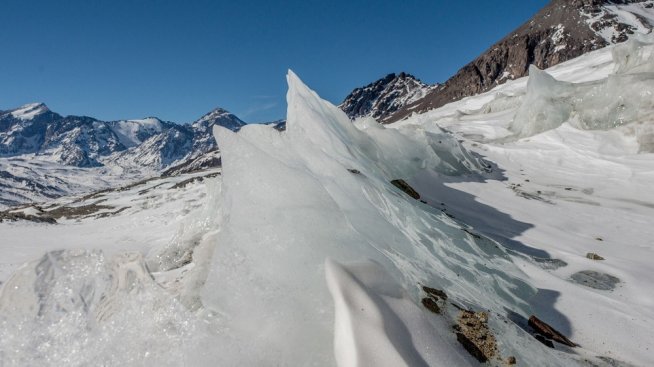 Пет причини за оптимизъм относно опазването на околната среда