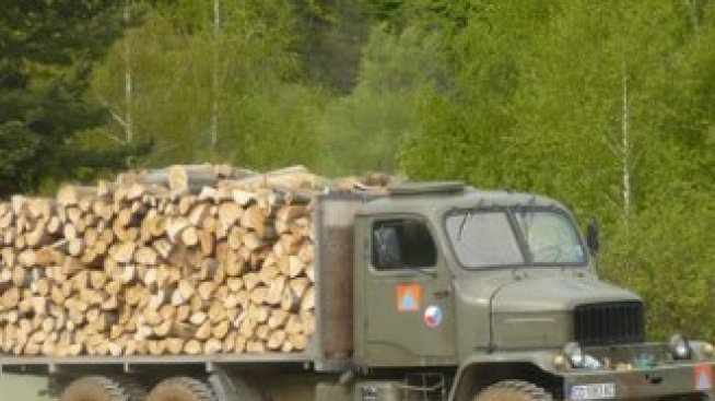 Малкият бизнес от дървопреработването протестира заради лобистки поправки