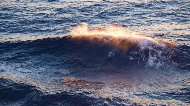 До месец подписват договор за пречиствателната станция в Златни пясъци