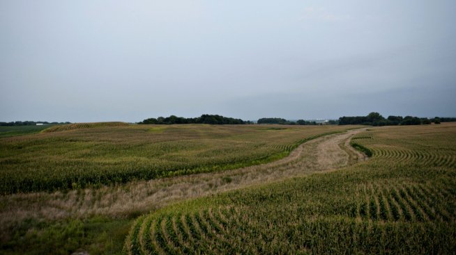 Земеделската земя в САЩ остава незасегната от спада на имотния пазар