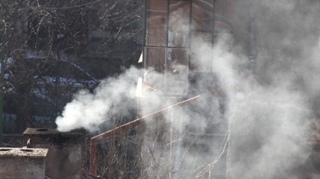 Едва 4% от българите са променили сериозно навиците си с цел опазване на природата