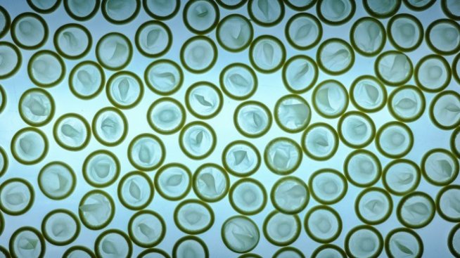 Свити продажби насочиха най-големия производител на презервативи към ръкавиците