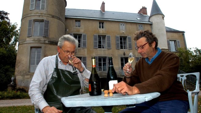 Нешампанско от Шампан - френските винари от региона се борят с климатичните промени