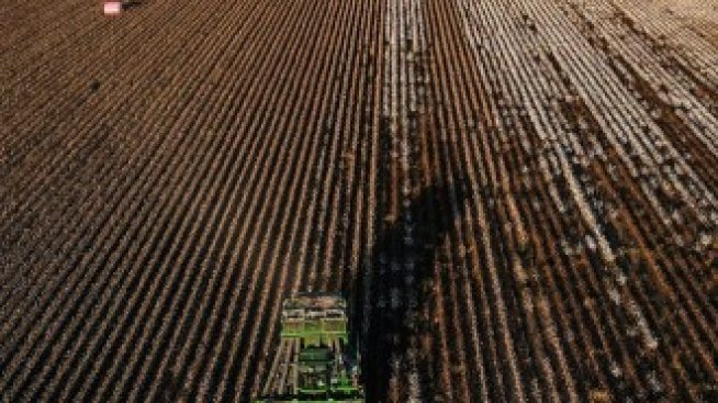 Земеделската земя в Добрич е поскъпнала с 270% за десет години