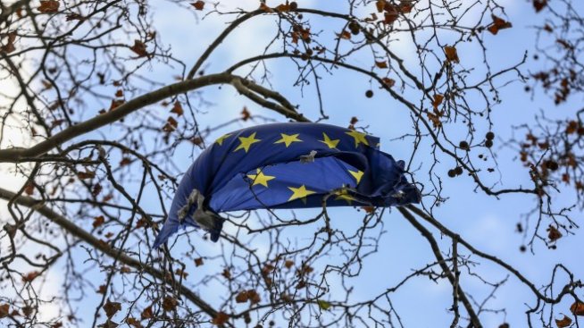 Еволюцията на ЕС – преследвне на благородна идея или адаптиране към реалността?