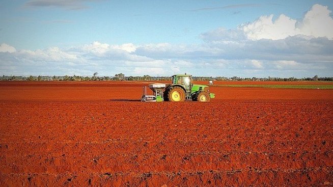 Млади фермери ще могат да обработват свободните земеделски земи от ДПФ