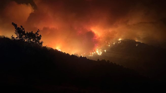 България е на второ място в ЕС по засегнати от пожари територии през 2024 г.