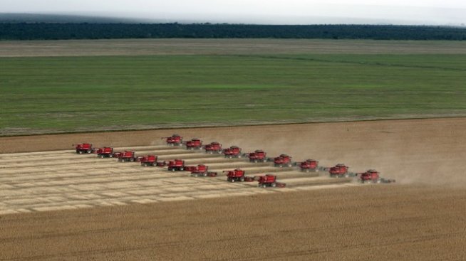 Monsanto се изправя пред тежка битка за пазара на соя