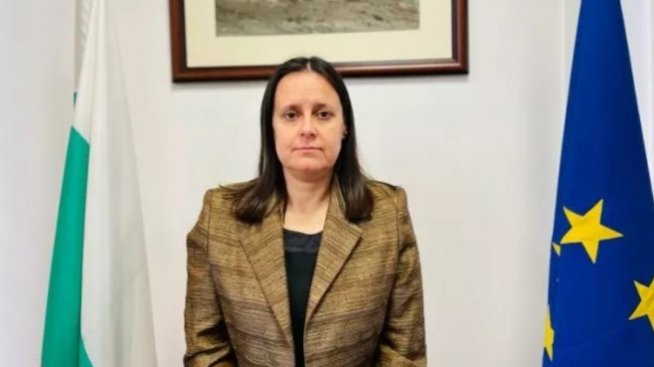 Лиляна Петрова поема Дирекцията за национален строителен контрол