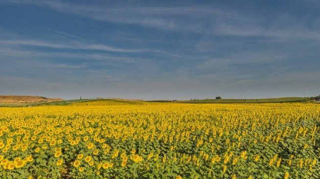 Експерт препоръчва промяна на застрахователния модел в земеделието