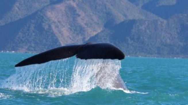 Кои са най-популярните дестинации в Airbnb за 2019 г.? 