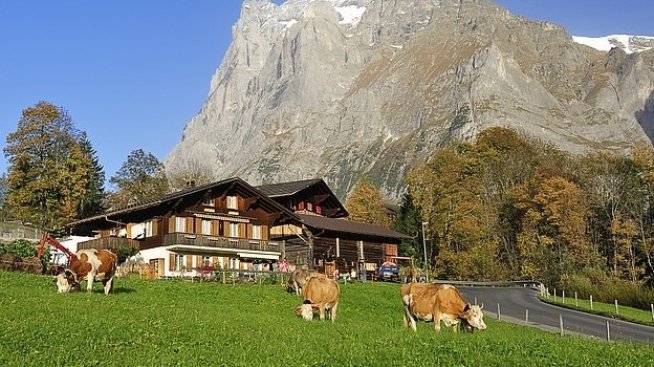 Над 31 млн. лв. получават животновъдите по преходната национална помощ