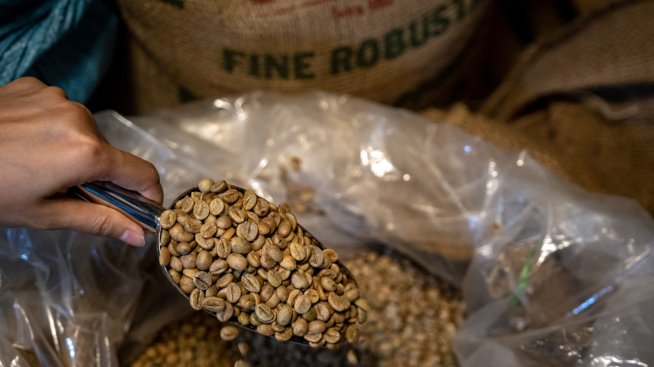 Цената на Робуста достига най-високата си стойност от 2008 г. насам 