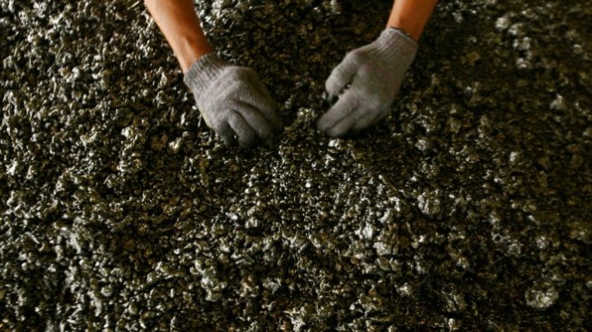 Миньорите от „Оброчище“ отново започнаха гладна стачка