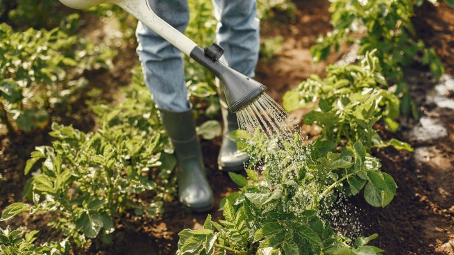 EК одобри държавна помощ от 16 млн. лева за напояване в земеделието 