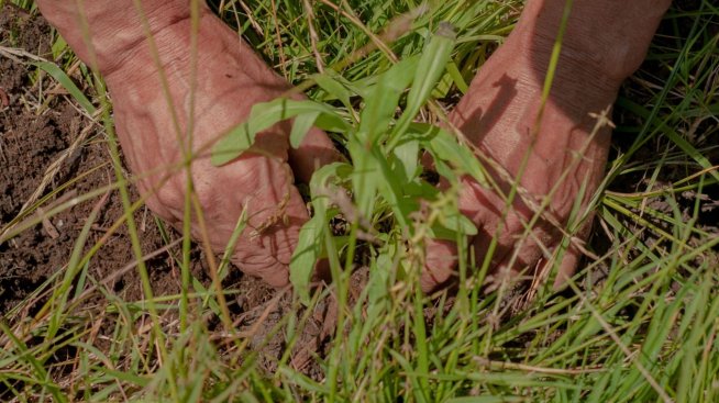 Световният ESG дълг ще продължи да расте колебливо