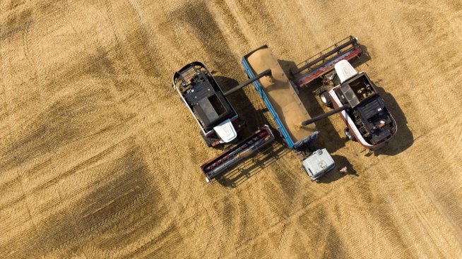 Русия затяга хватката си върху световните доставки на пшеница