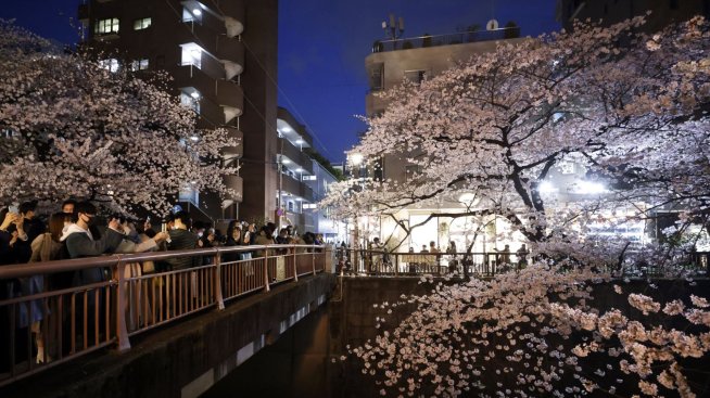 Десет причини, заради които изненадващото рали на японските акции ще продължи