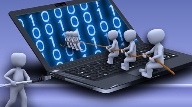 България е почти на дъното в ЕС по брой IT специалисти