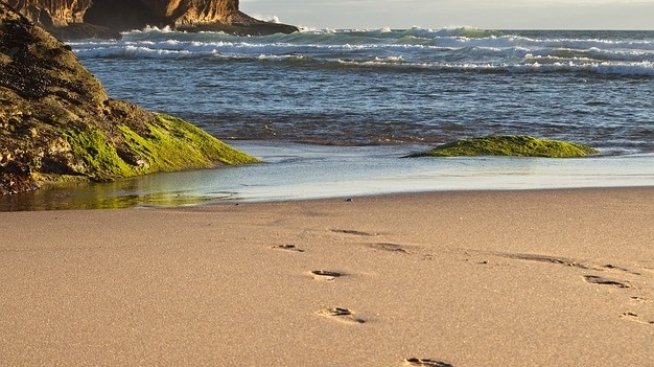 Ангелкова започна консултации за промени в статута на националните курорти