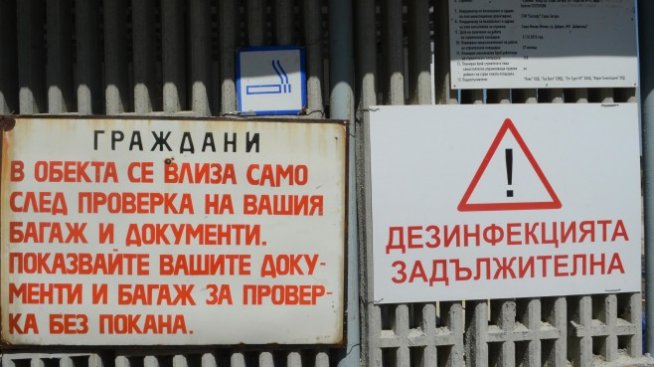 Африканската чума по свинете достигна и област Силистра